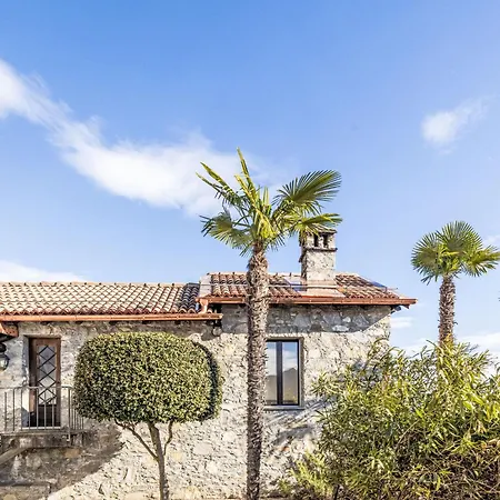 Palm By Interhome Locarno